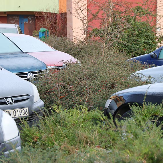 Kierowca o zapuszczonym parkingu: Prezydent zakada kolejny ogrd sensoryczny?