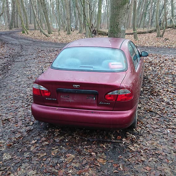 Po czowce z drzewem kierowca porzuci samochd