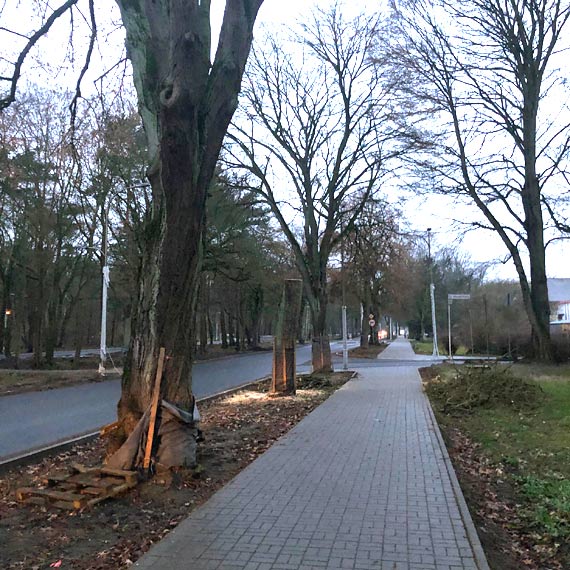 Były zapewnienia i różowe numerki