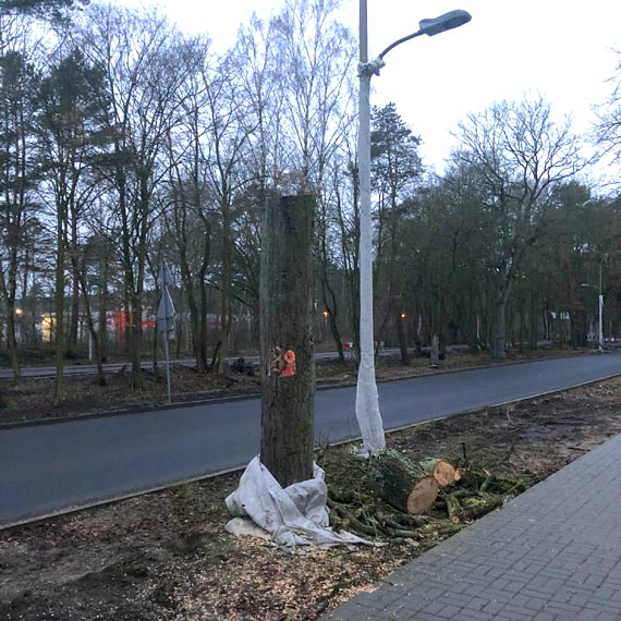 Były zapewnienia i różowe numerki
