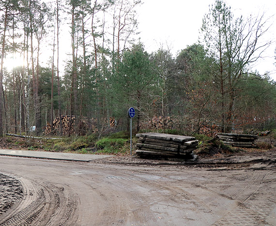 Tryb postpowania w sprawie wycinek drzew na obszarach natura 2000 w celu budowy Zakadu Opieki Dugoterminowej przy ul. Bydgoskiej