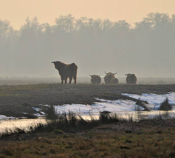 Przygoda nad Zalewem – ciekawa atrakcja na ferie