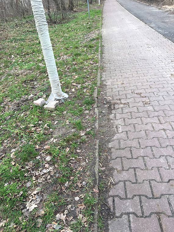 Czytelnik: Dziadowskie oszczdnoci na inwestycji za miliony?
