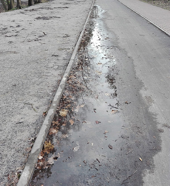 Ścieżka rowerowa w kałużach i brudzie - mówią mieszkańcy