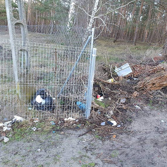 Czytelnik: Dziakowicze zamiecaj las przy ulicy Szkolnej!