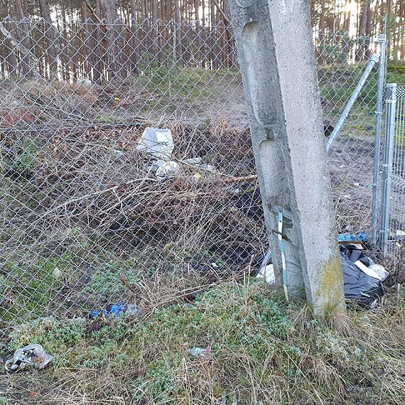 Czytelnik: Działkowicze zaśmiecają las przy ulicy Szkolnej!
