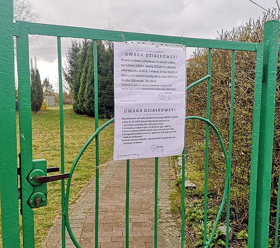 Zrobisz imprez, moesz pozby si dziaki!
