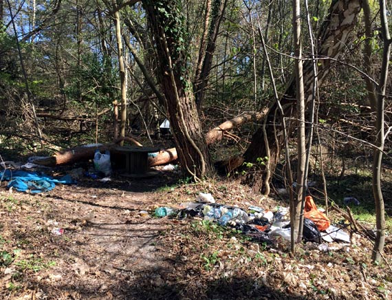 Czytelniczka: Posprztajmy wsplnie lasy!