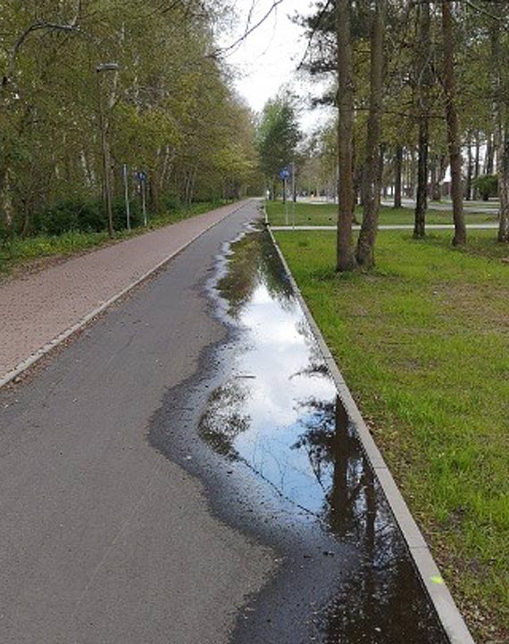 Czytelnik: Jak funkcj maj spenia krawniki na nowej ciece rowerowej?