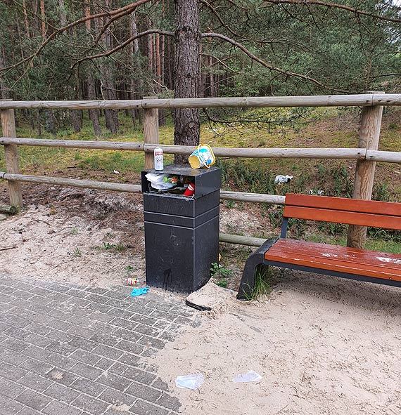 Czytelnik: Plaa Warszw powinna by czciej sprztana
