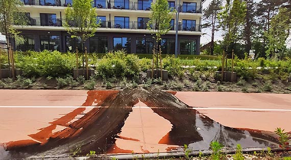 Promenada Zdrowia wymaga melioracji?!