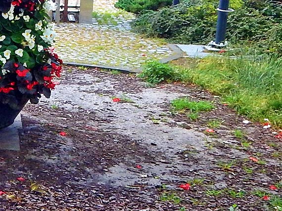 Mieszkanka: Biedne centrum miasta?