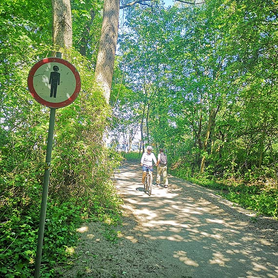 Czytelnik: Zapraszaj - zabraniaj