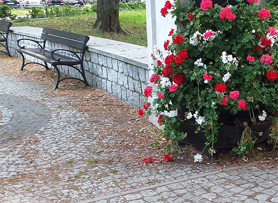 Czytelniczka: Chcemy zadbanego parku!