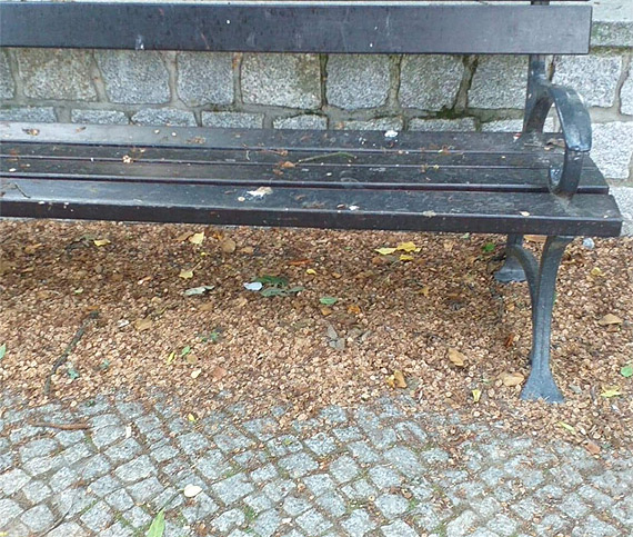 Czytelniczka: Chcemy zadbanego parku!