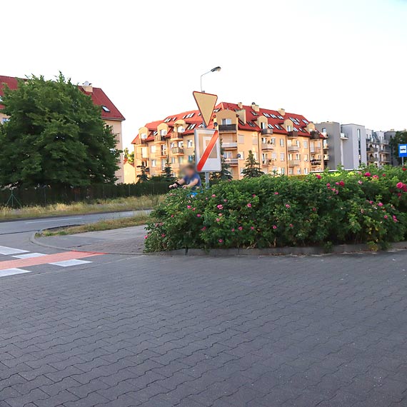 Mieszkaniec ostrzega: Krzew zasania widoczno