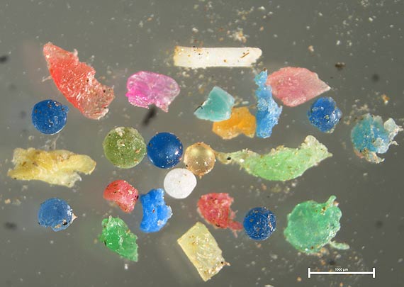 Mikroplastiki – makroproblem wyniki badania ankietowego*