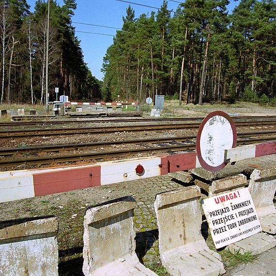 10 kilometrów plaży. Ale nie wszyscy ratownicy tam dojadą