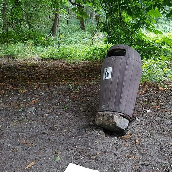 Z Parku Zdrojowego znikaj mietniki