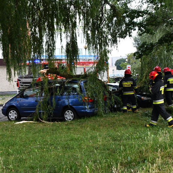 Ogromna ga uszkodzia 2 samochody