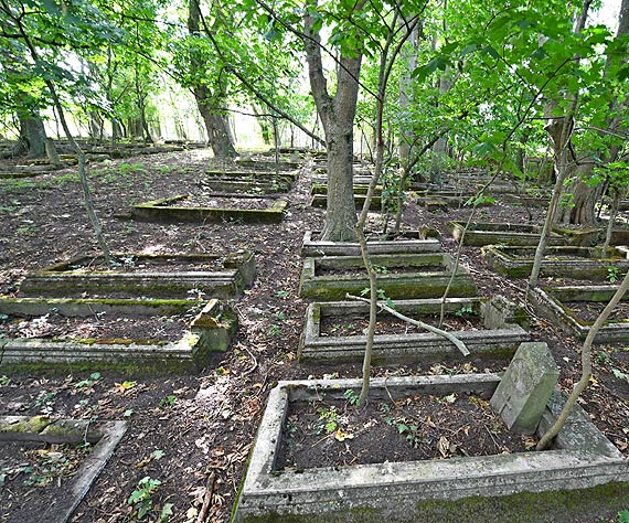 Po pandemii sprzed wieku w Lubinie zosta zapomniany cmentarz