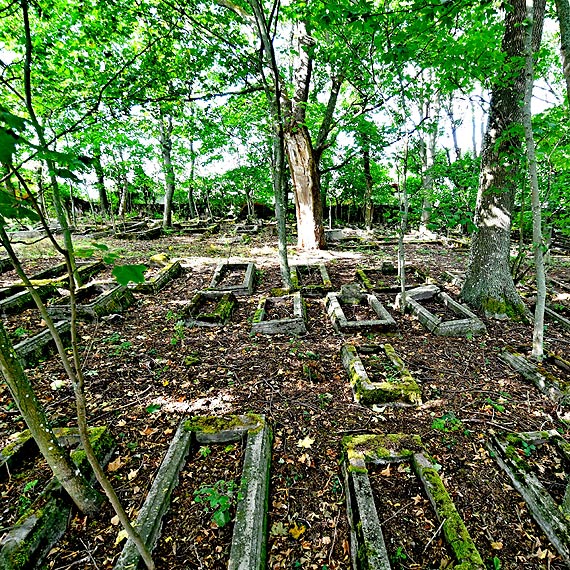 Po pandemii sprzed wieku w Lubinie zosta zapomniany cmentarz