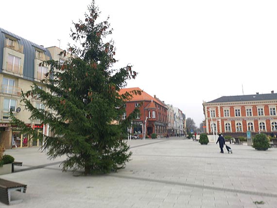 winoujcie gotowe na wita! Na Placu Wolnoci stana 8 - metrowa  choinka!