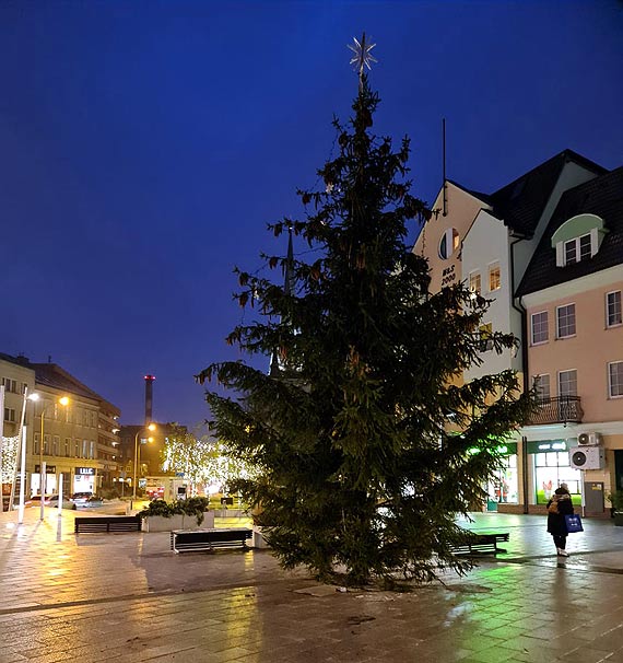 winoujcie gotowe na wita! Na Placu Wolnoci stana 8 - metrowa  choinka!