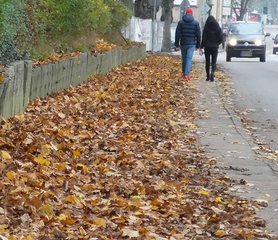 Czytelnik: Licie zawadny caym chodnikiem!