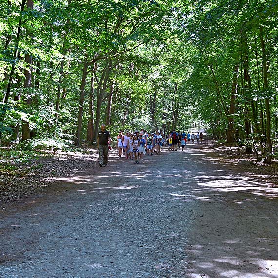 Rowerem przez Woliski Park Narodowy. Marszaek apeluje do ministra