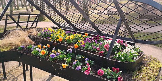 Muzyka i kwiaty w Parku Chopina