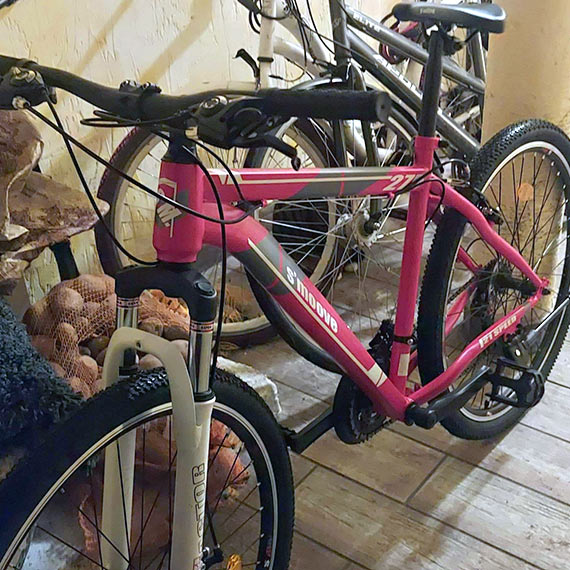 Spod domu skradziono rower