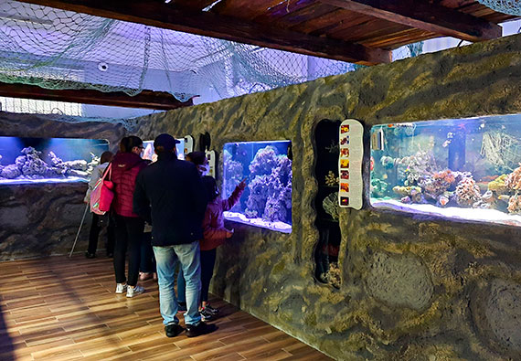 Midzynarodowe wito Muzew w Muzeum Rybowstwa Morskiego