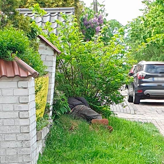 Wolny jak... bezdomny?