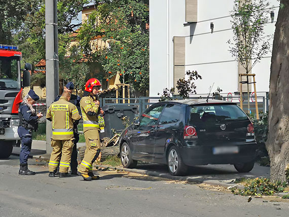 Pogoda nie rozpieszcza, silny wiatr powoduje szkody. Na Wyspiaskiego drzewo runo na samochd