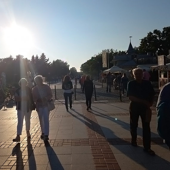 Wielki powrt komarw! Znw nkaj mieszkacw