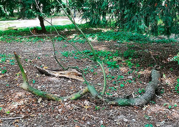 Mieszkaniec - Park Zdrojowy tydzie przed WIELKIM otwarciem!