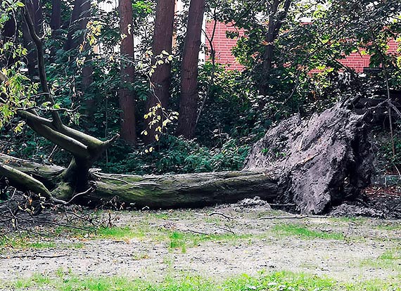 Mieszkaniec - Park Zdrojowy tydzie przed WIELKIM otwarciem!