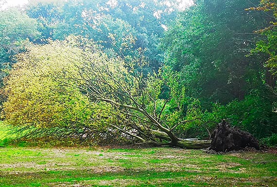 Mieszkaniec - Park Zdrojowy tydzie przed WIELKIM otwarciem!