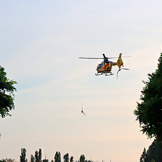 Wypadek kobiety podczas kitesurfingu na Zalewie Szczeciskim