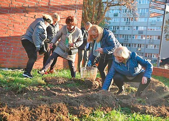 Godzina dla winoujcia