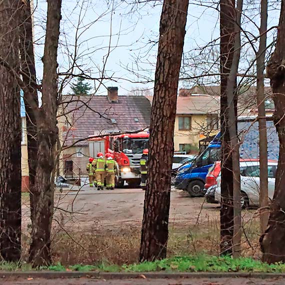 Strażacy zabezpieczyli teren wokół powalonego drzewa