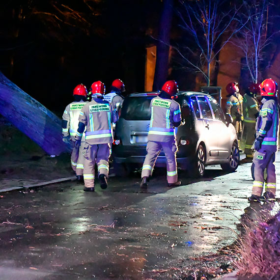 Ni Nadia szaleje! Silny wiatr przewrci drzewo