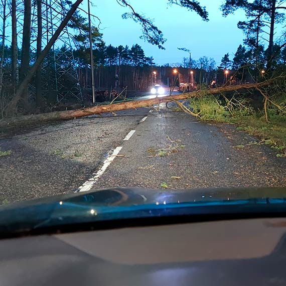 Mieszkacy alarmuj - kolejne drzewa spadaj na ulice i drogi!