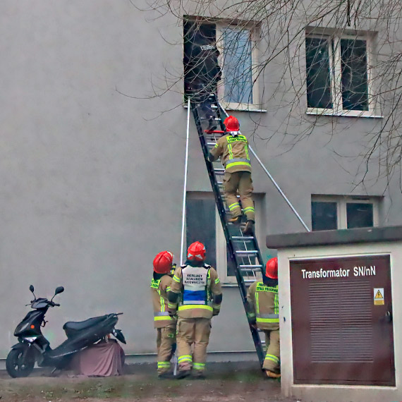 Policja i pogotowie na Steyera 51