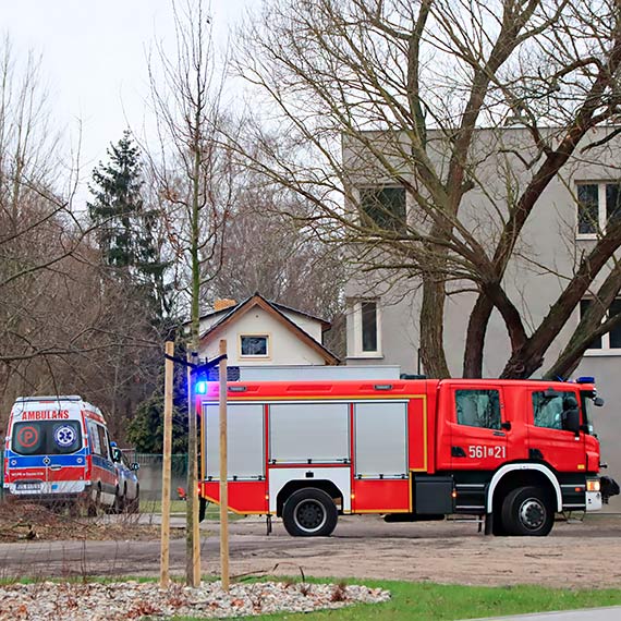 Policja i pogotowie na Steyera 51