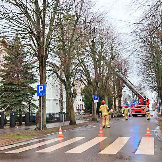 Straacy w akcji na wysokoci. Na Energetykw nadamana ga opara si o inne drzewo