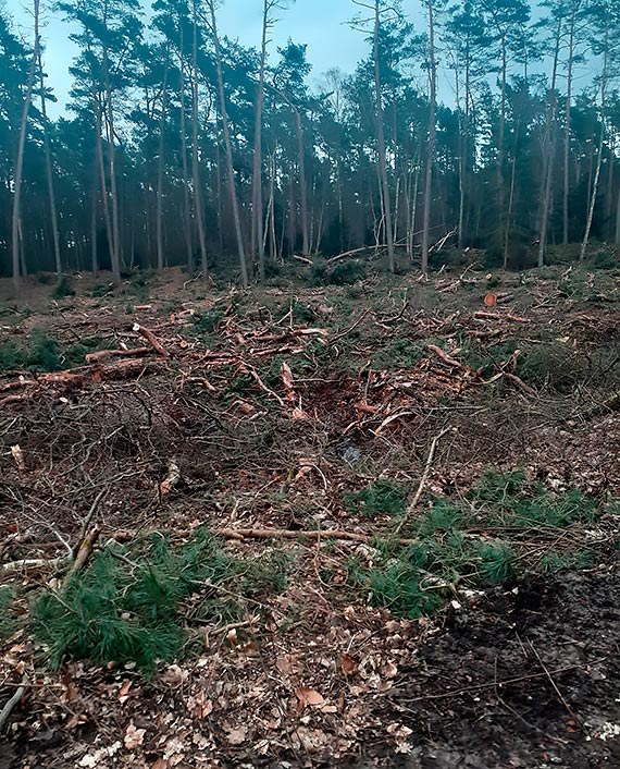 Internauta: Komu, czemu ma  to suy?!