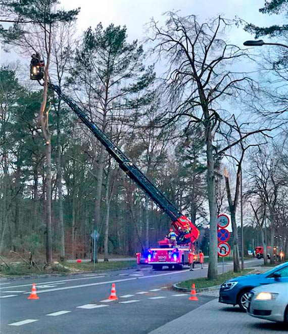 Straacy nieustannie wyjedali do akcji. Usuwali poamane przez wiatr drzewa 