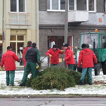 Stawiali, stawiali i wreszcie postawili, czyli opowie pt. „Bo to brzydka choinka bya”